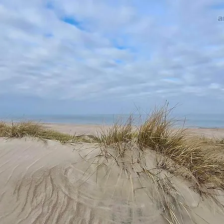 アパートホテル Apartamentai Salia Baseino 3*