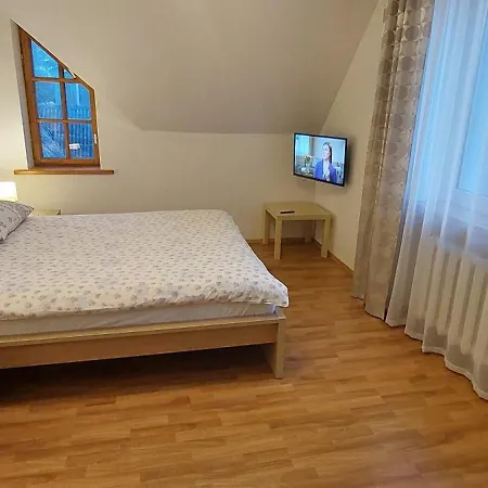 アパートホテル Apartamentai Salia Baseino 3*