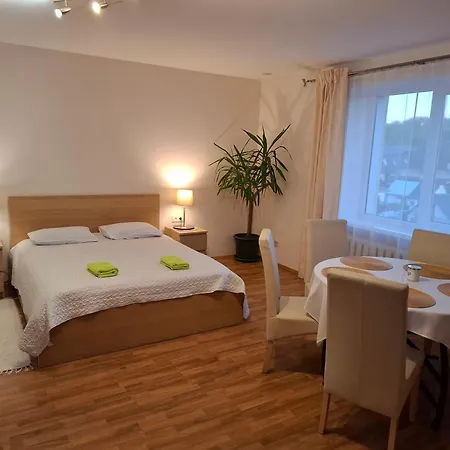アパートホテル Apartamentai Salia Baseino