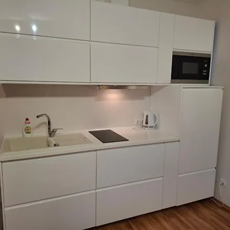 Apartamentai Salia Baseino 2* パランガ
