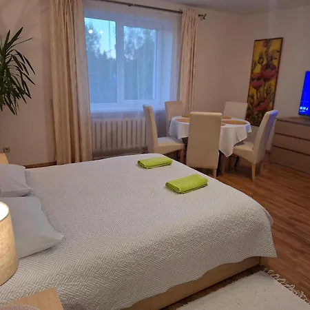 Apartamentai Salia Baseino アパートホテル