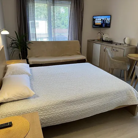 Apartamentai Salia Baseino アパートホテル パランガ