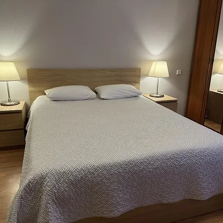アパートホテル Apartamentai Salia Baseino 2*