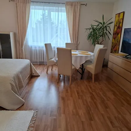 Apartamentai Salia Baseino アパートホテル 2*