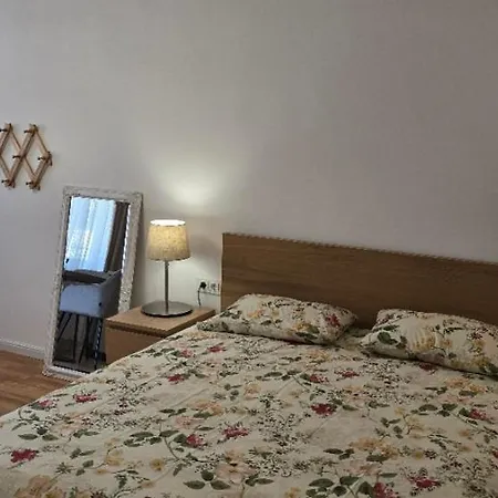 아파트호텔 Apartamentai Salia Baseino 팔랑가