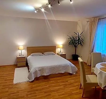 Apartamentai Salia Baseino 아파트호텔