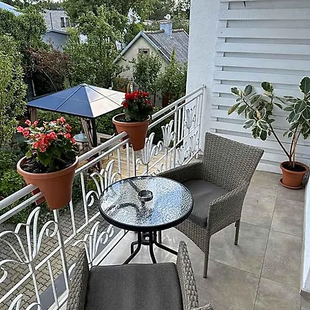 아파트호텔 Apartamentai Salia Baseino 팔랑가