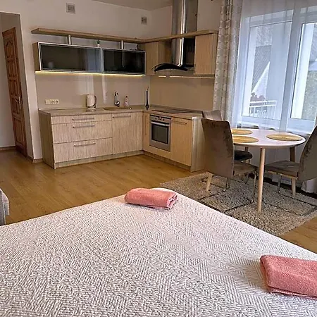 아파트호텔 Apartamentai Salia Baseino 팔랑가