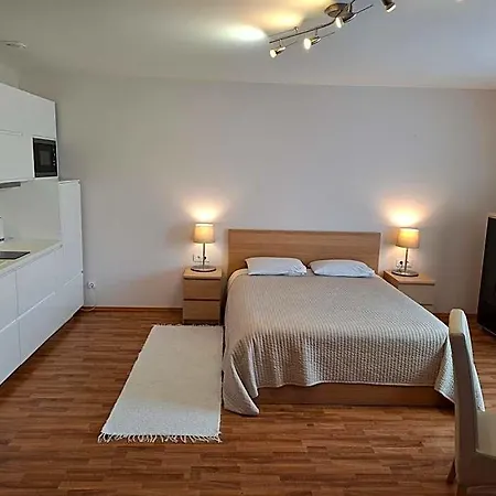 Apartamentai Salia Baseino 아파트호텔