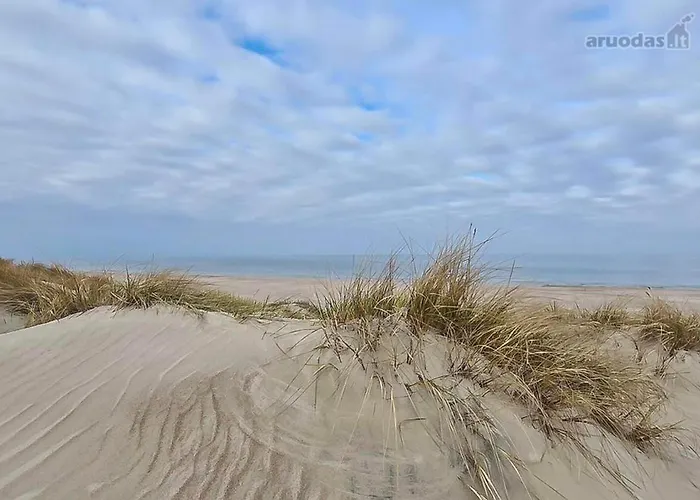 Апарт-готель Apartamentai Salia Baseino 3*