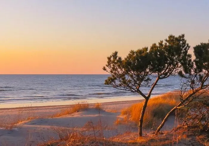 Апарт-готель Apartamentai Salia Baseino Паланга